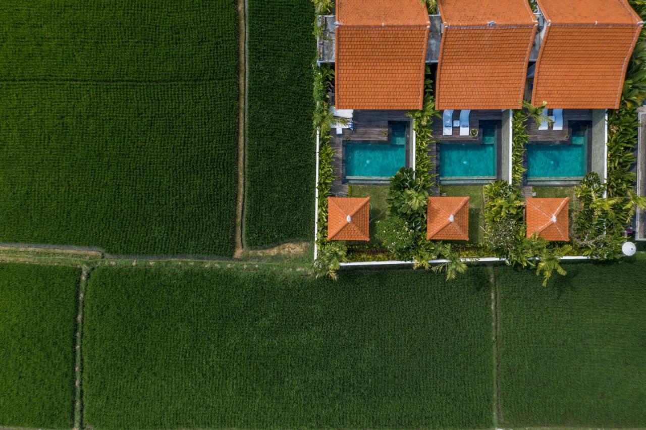 Sawah Villas Ubud Buitenkant foto