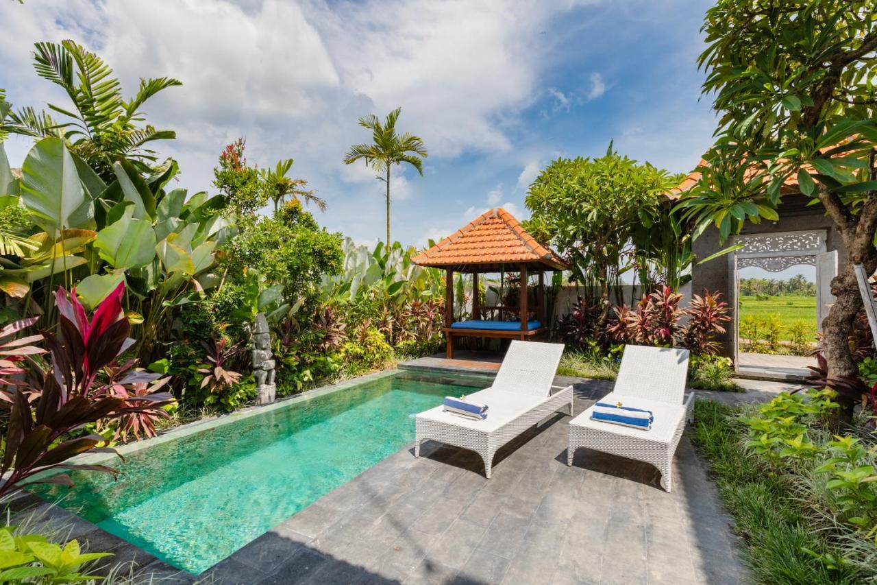 Sawah Villas Ubud Buitenkant foto